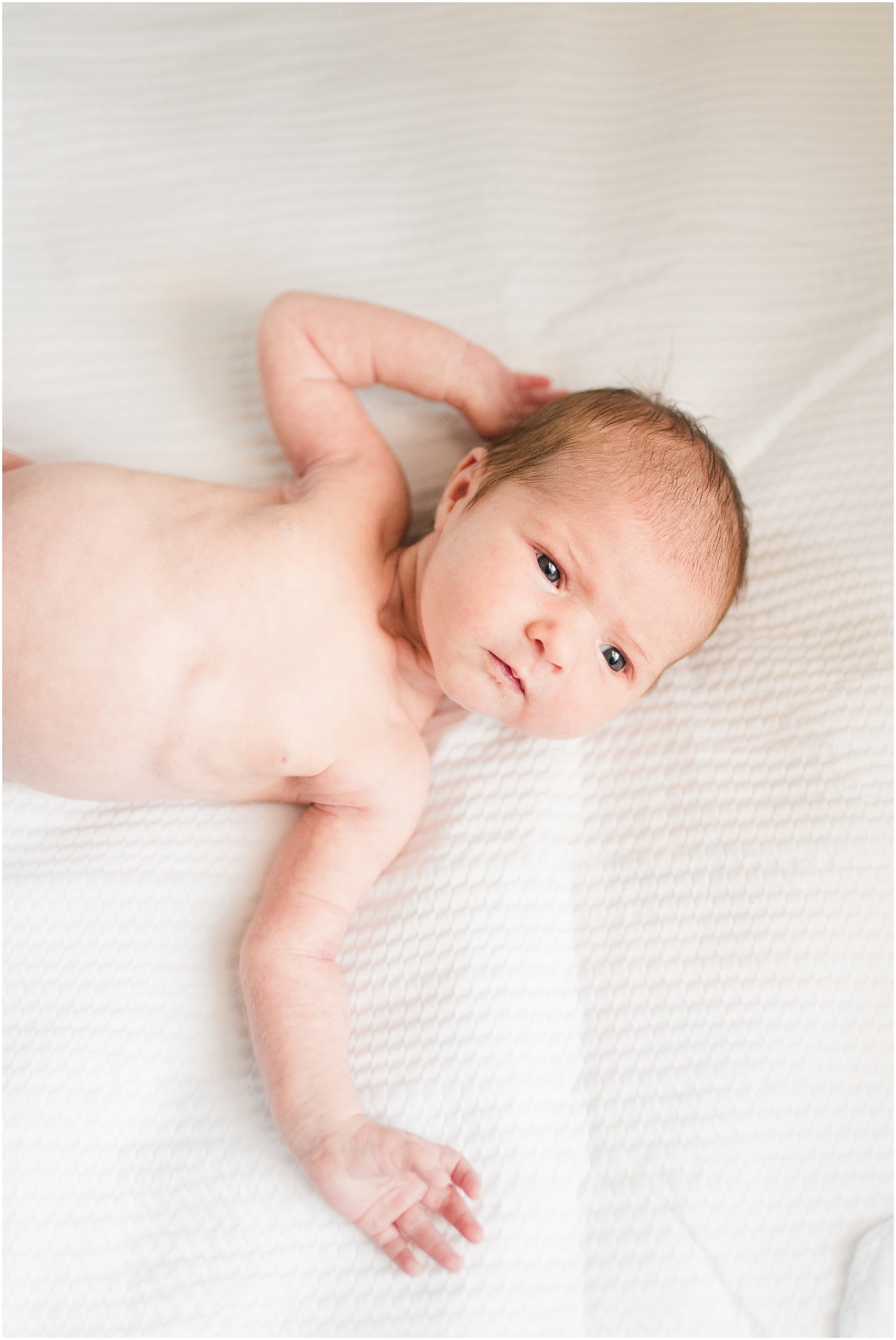 Baltimore, Maryland Lifestyle Newborn Photography session photo