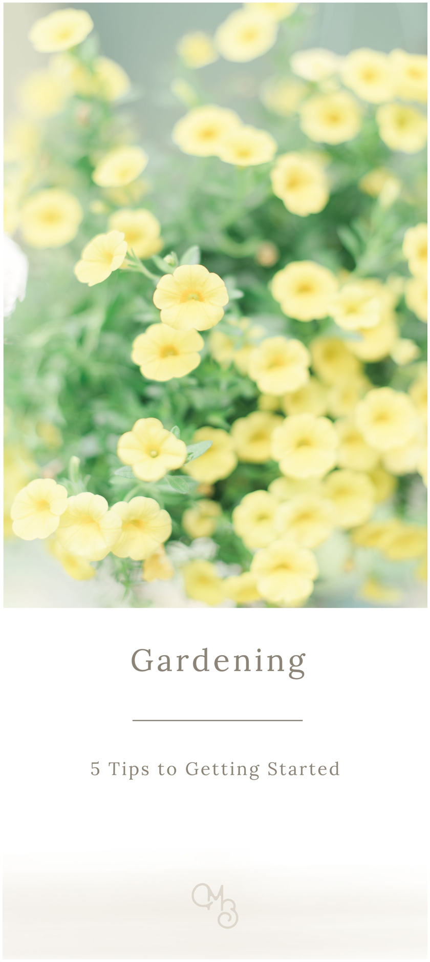 Gardening for beginners by Megan Bennett Photography