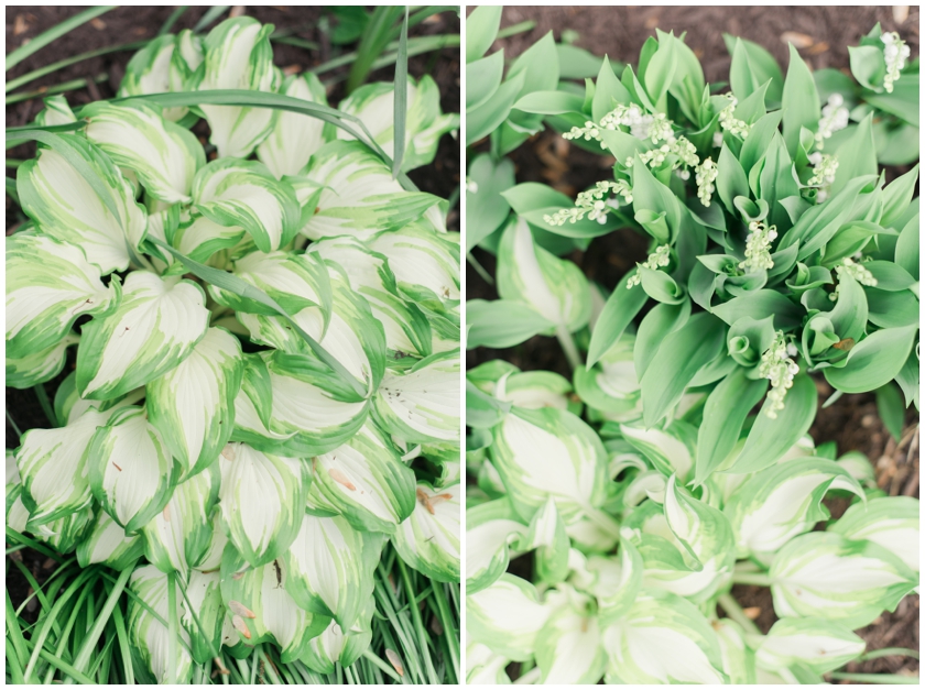 gardening for beginners by Megan Bennett Photography