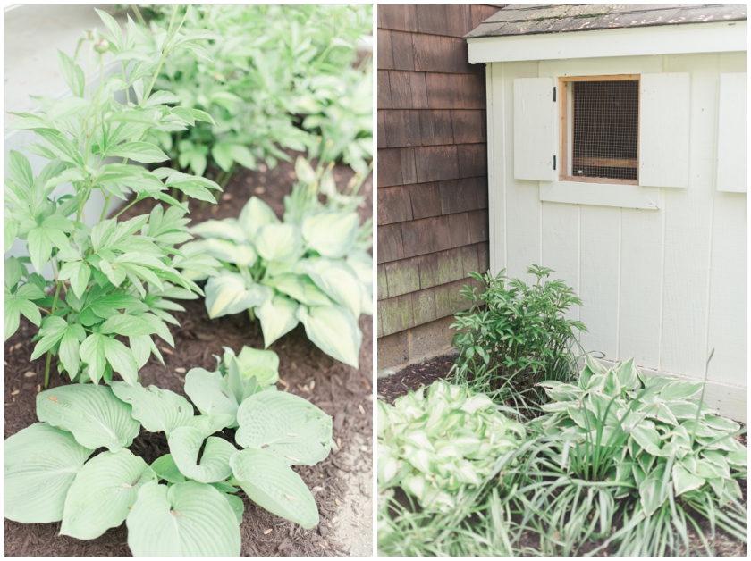 gardening for beginners by Megan Bennett Photography