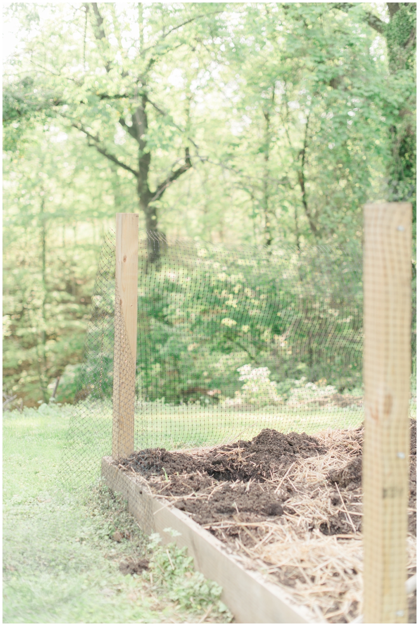 gardening for beginners by Megan Bennett Photography
