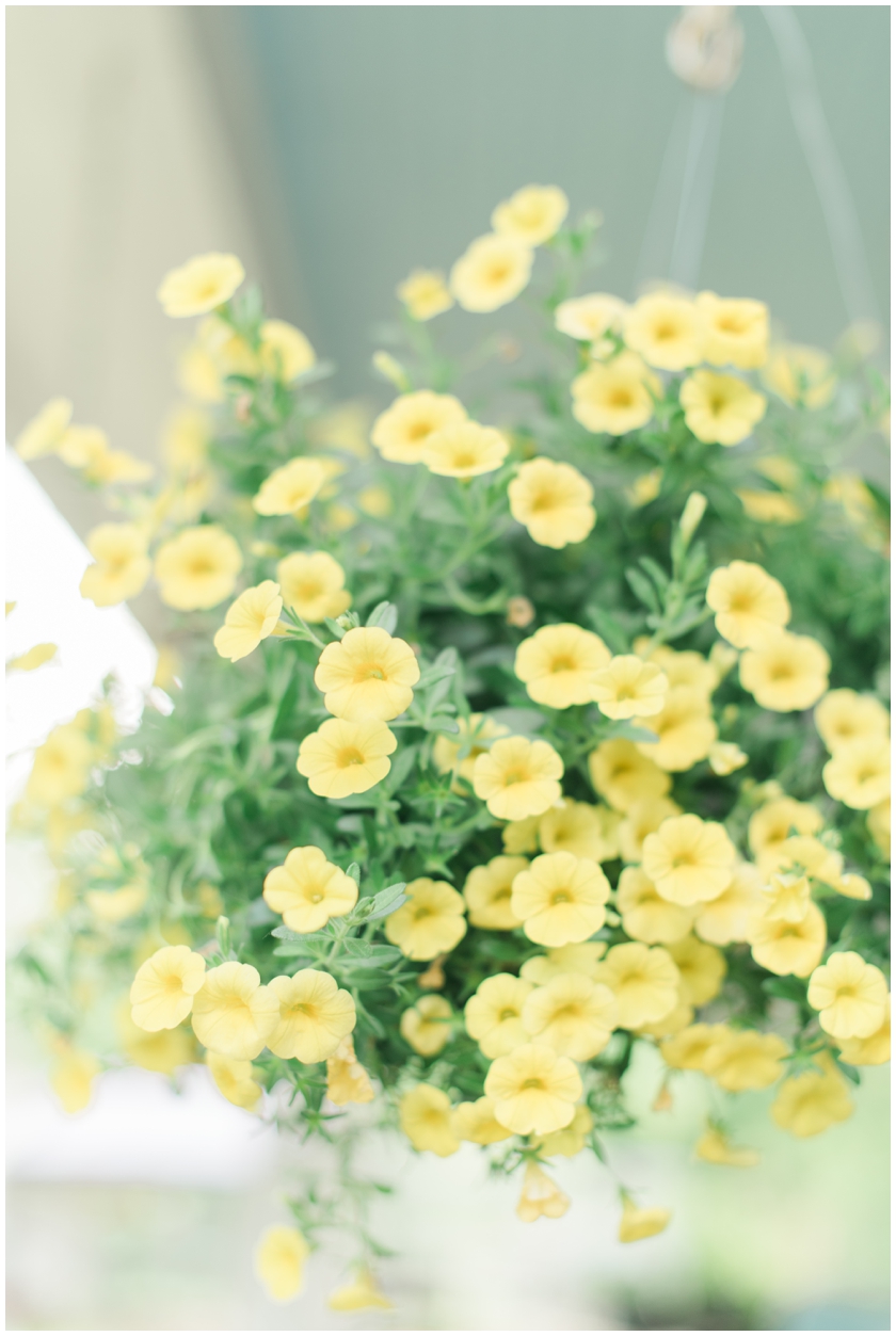 gardening for beginners by Megan Bennett Photography