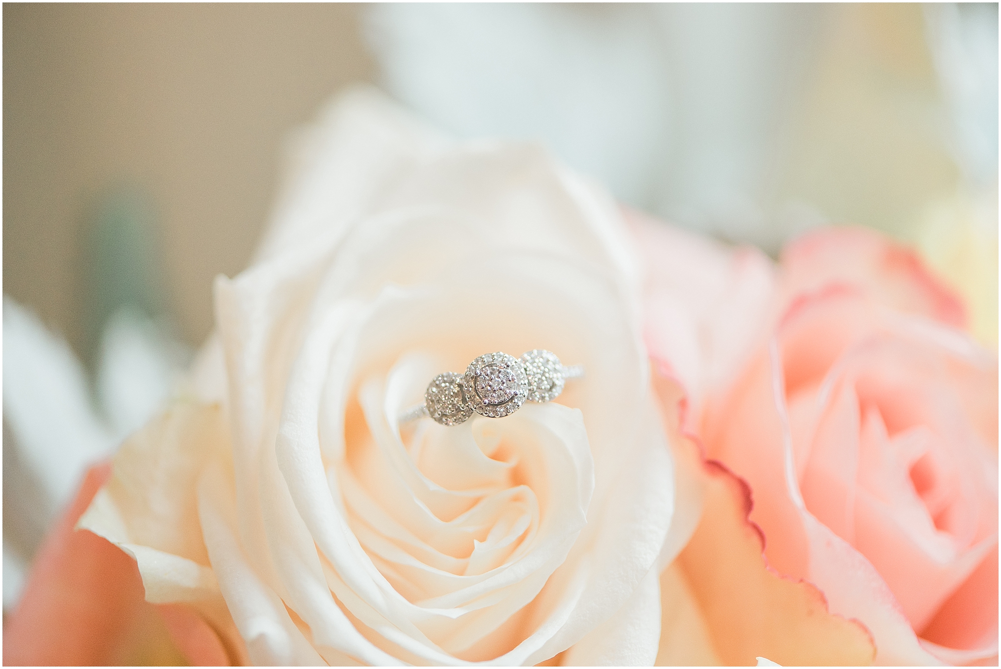 Oakland Manor Wedding Columbia Maryland by Megan Bennett Photography