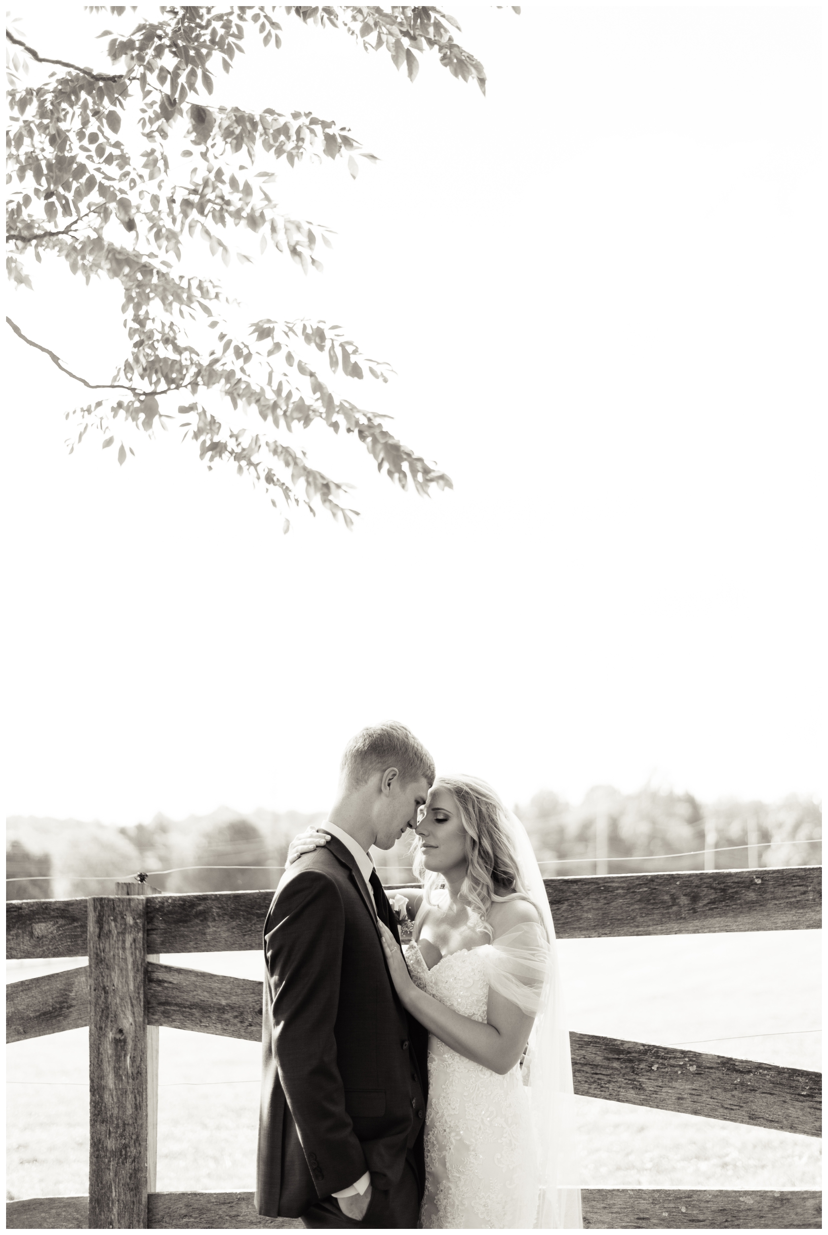 Woodlawn Manor outdoor blush pink summer wedding in Maryland by Megan Bennett Photography