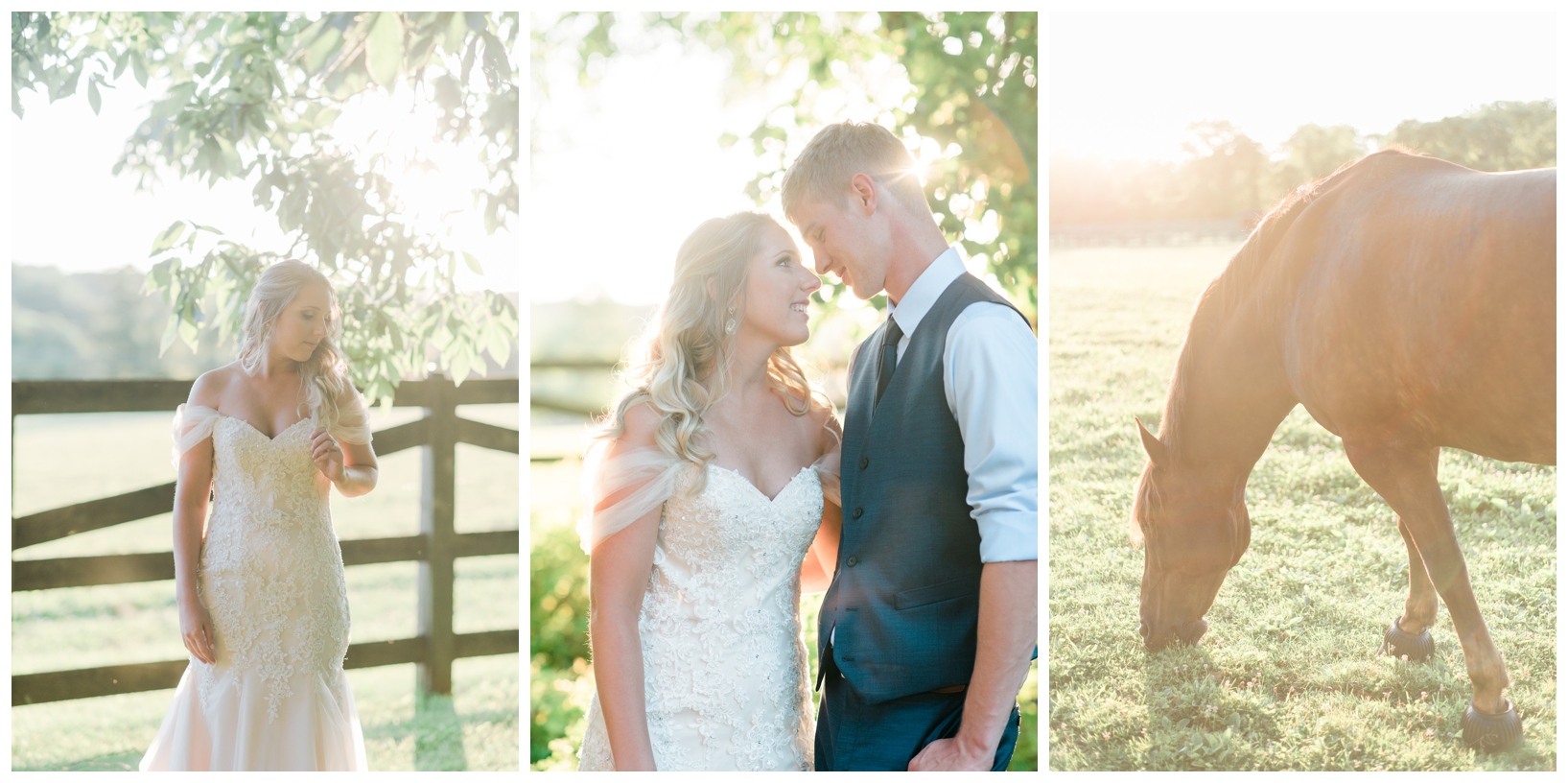 Woodlawn Manor outdoor blush pink summer wedding in Maryland by Megan Bennett Photography