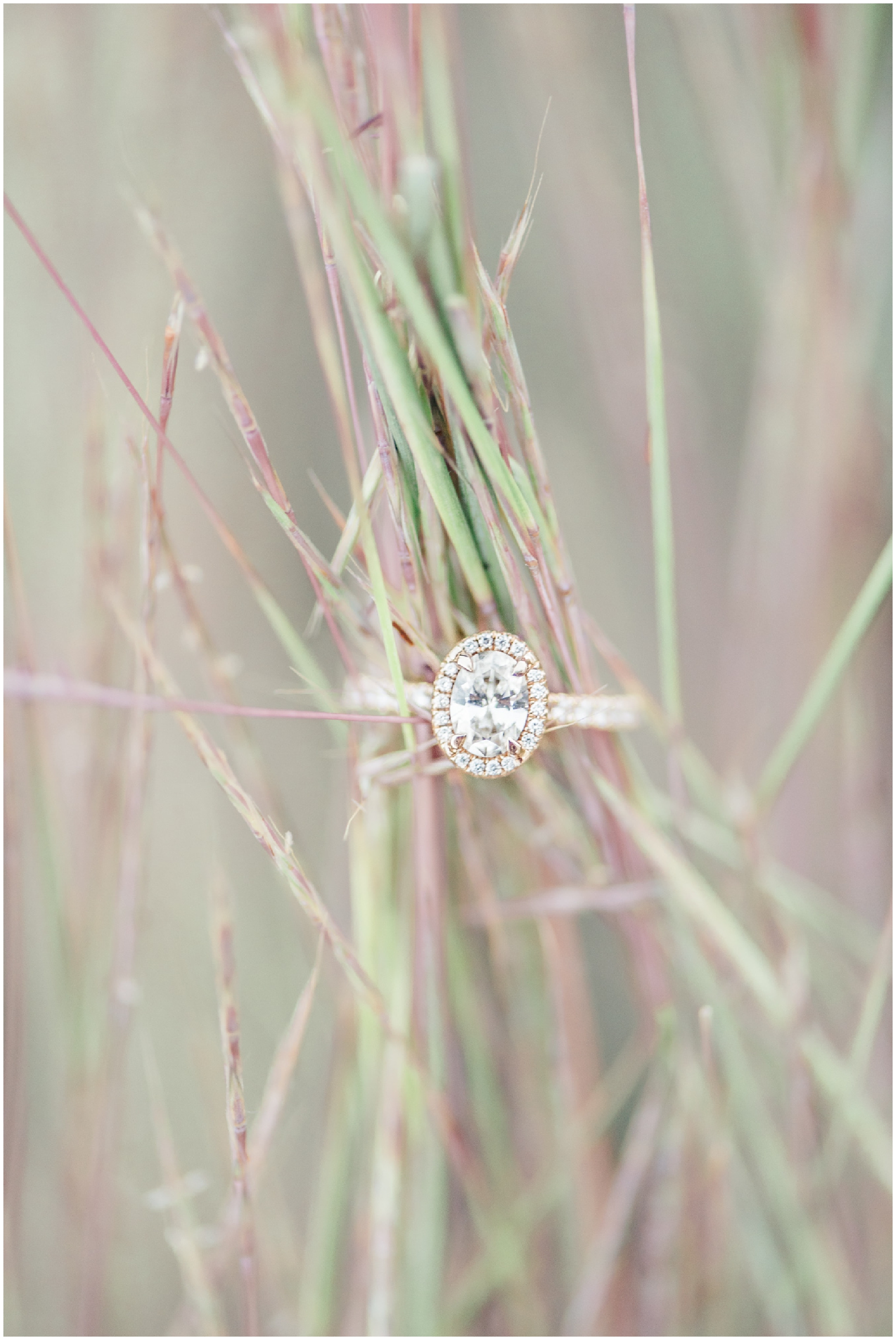 Baltimore Maryland romantic grassy field engagement session at Woodlawn Manor by Maryland Wedding Photographer Megan Bennett Photography