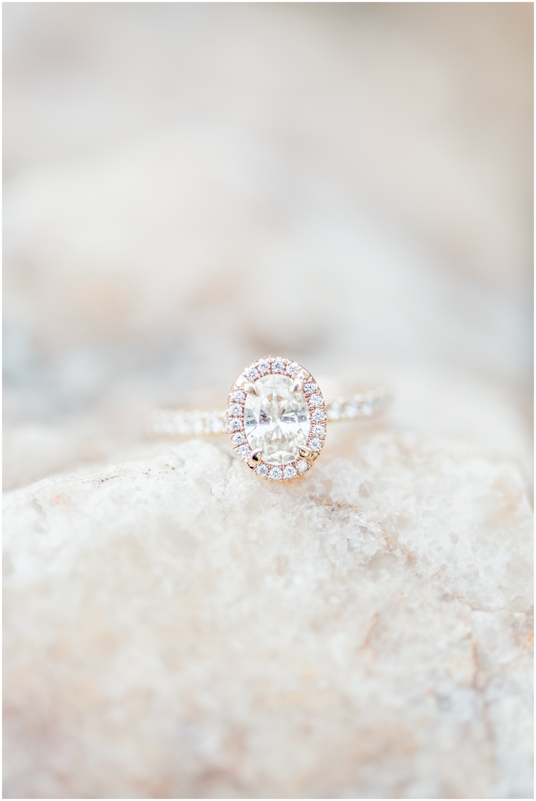 Baltimore Maryland romantic grassy field engagement session at Woodlawn Manor by Maryland Wedding Photographer Megan Bennett Photography