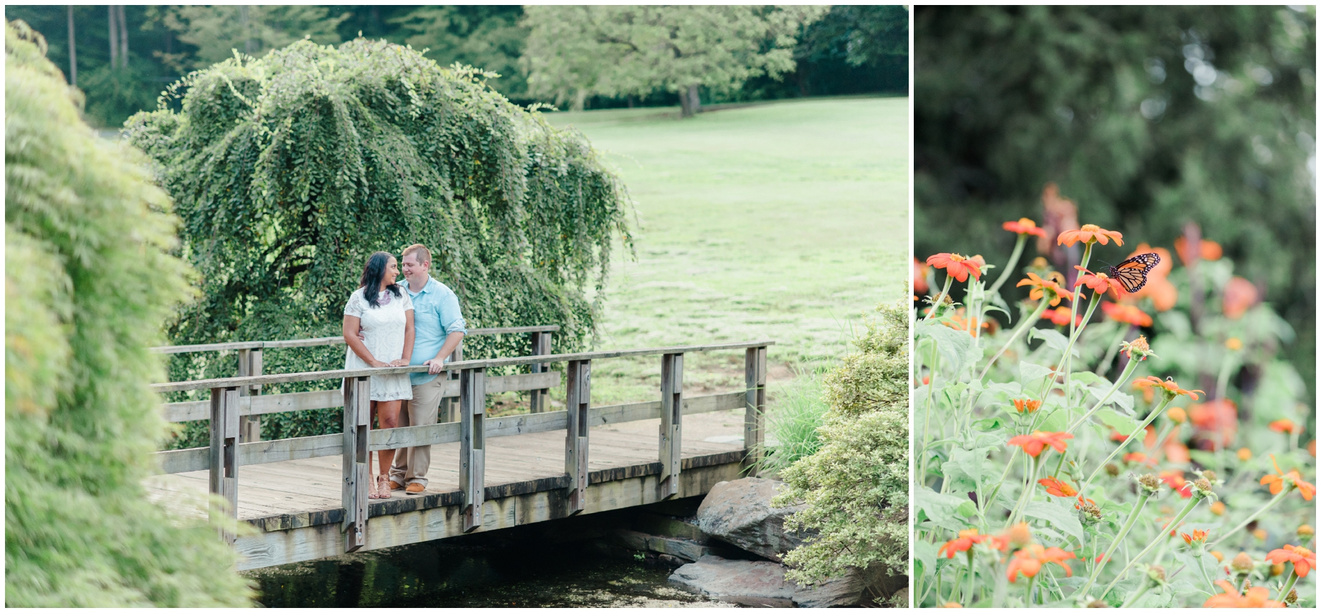 An intimate garden inspired engagement photo by Maryland Photographer Megan Bennett Photography
