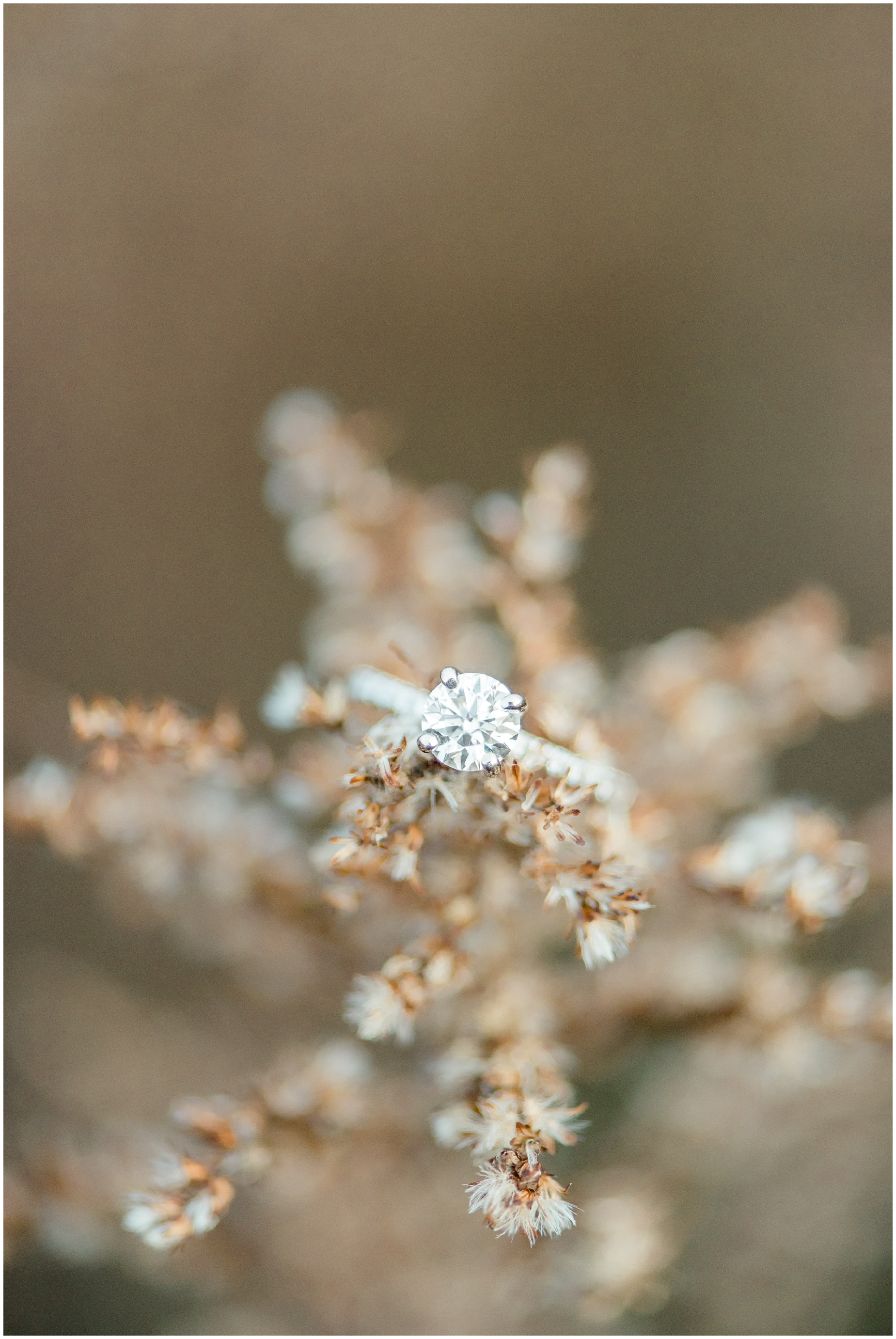 An intimate Autumn Engagement Photo Session at Howard County Conservancy in Maryland by Megan Bennett Photography