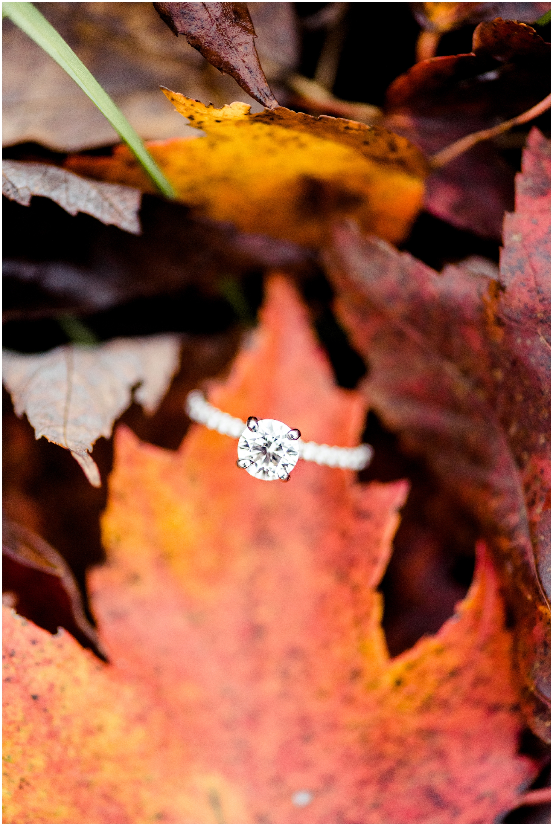 An intimate Autumn Engagement Photo Session at Howard County Conservancy in Maryland by Megan Bennett Photography