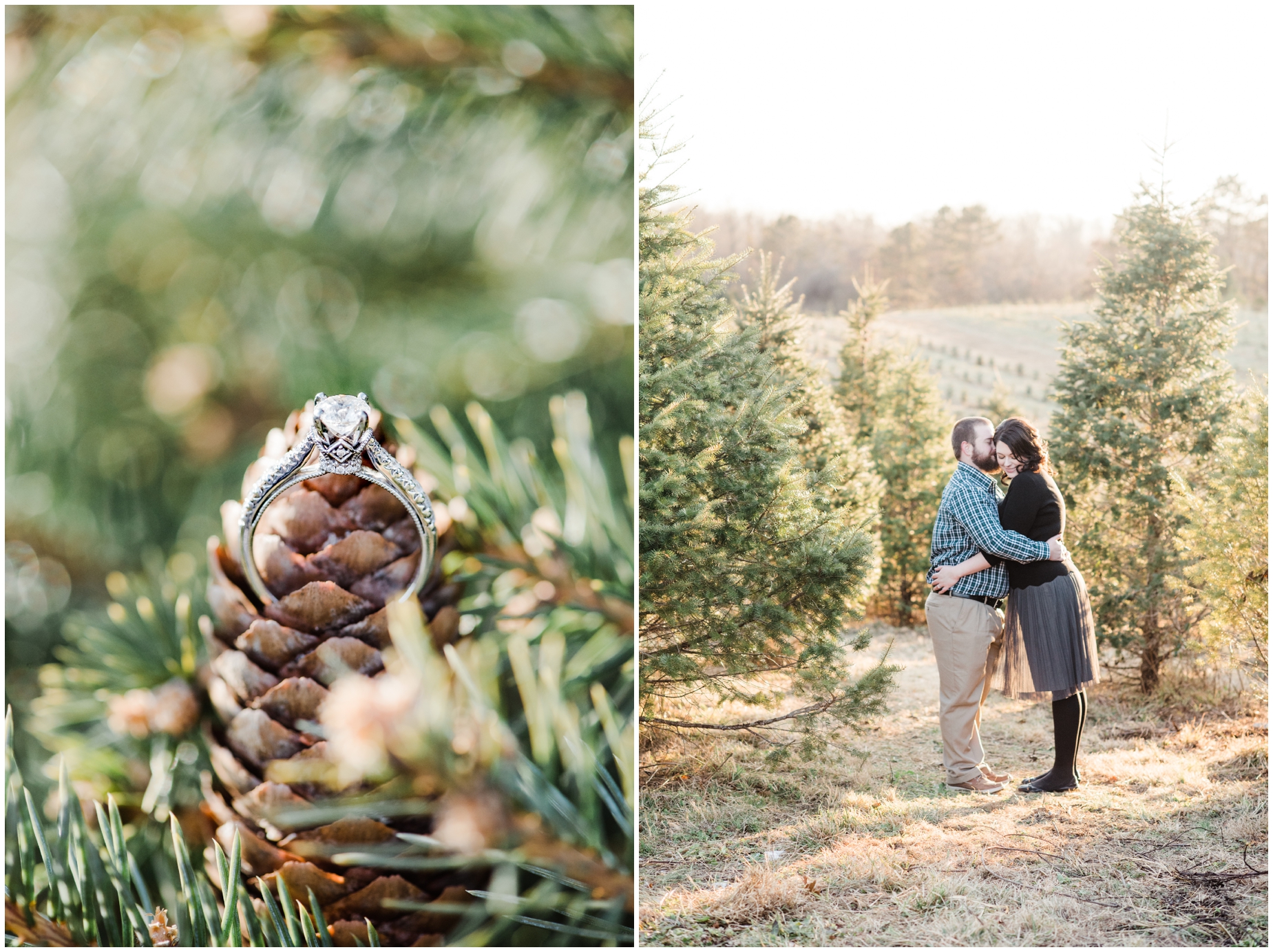 A Winter Christmas Tree Farm Engagement by Maryland Photographer Megan Bennett Photography