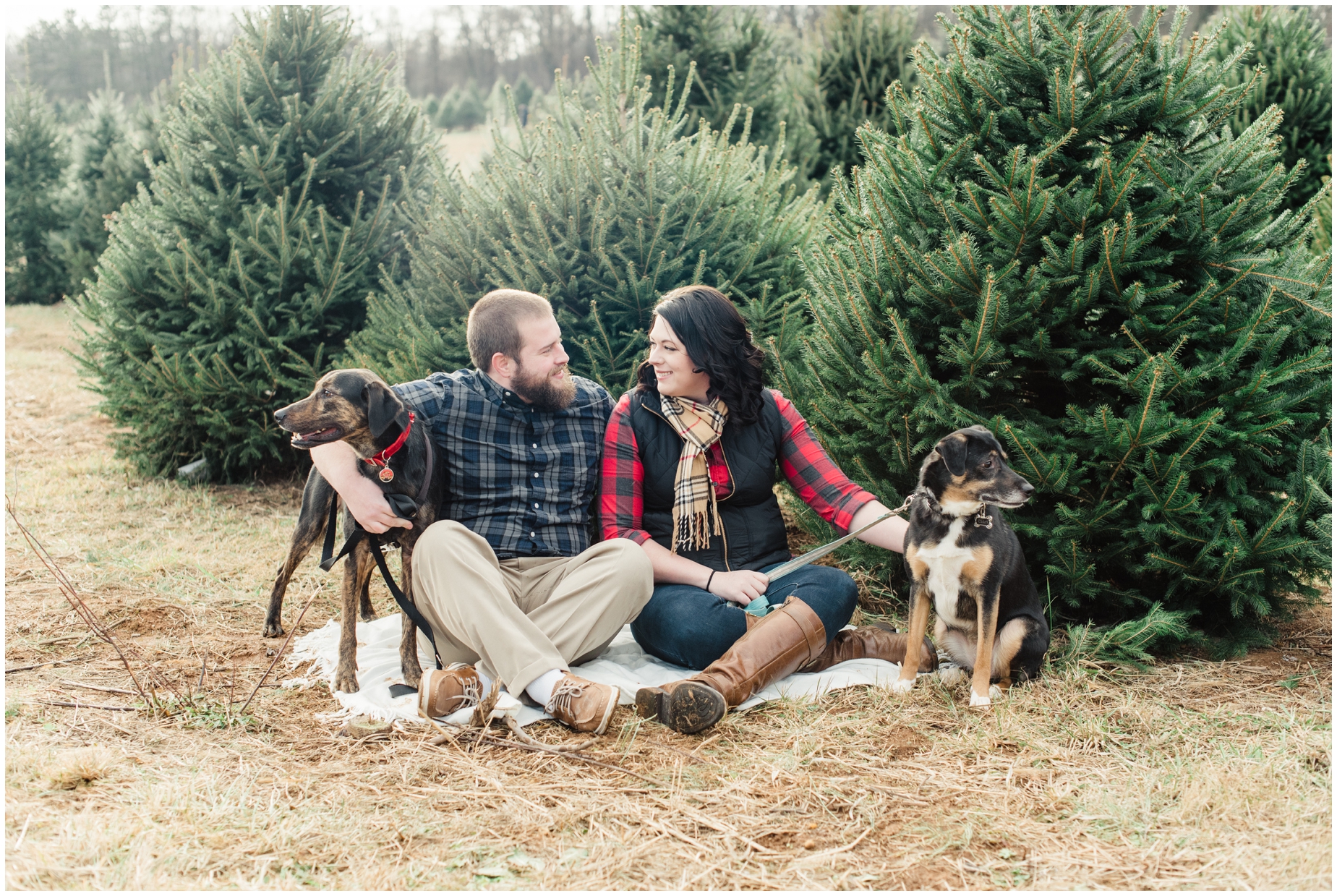 A Winter Christmas Tree Farm Engagement by Maryland Photographer Megan Bennett Photography