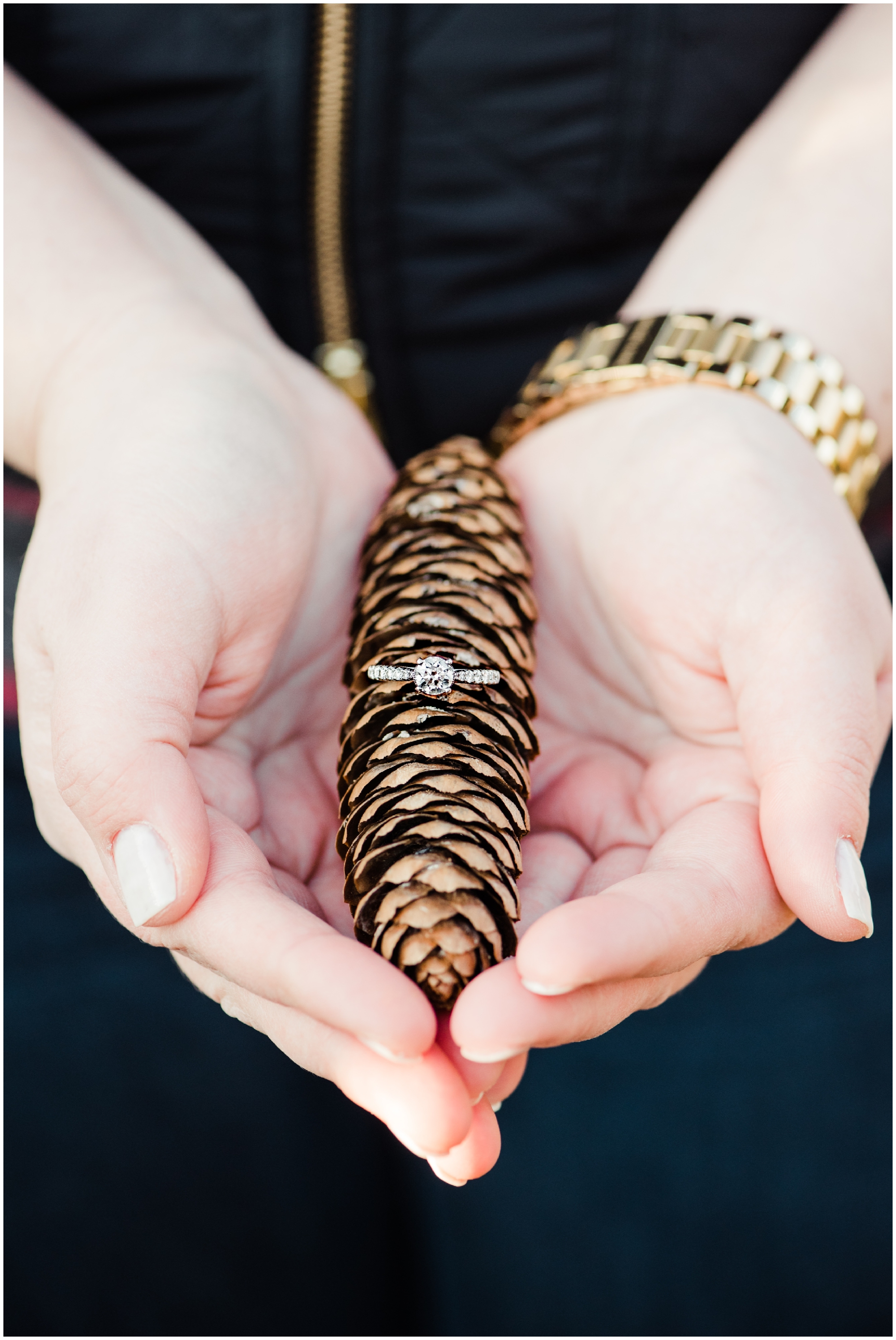 A Winter Christmas Tree Farm Engagement by Maryland Photographer Megan Bennett Photography