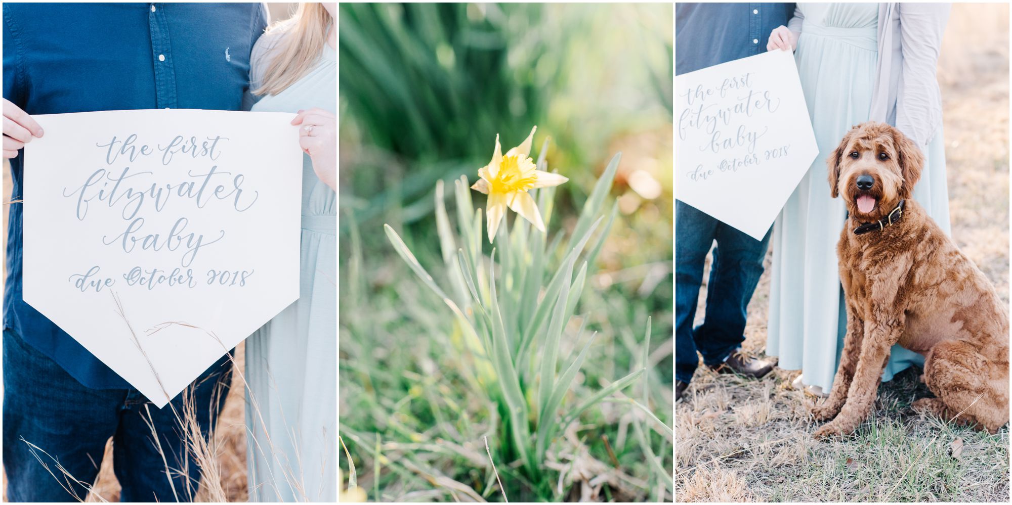 Baby-Annoncement-Megan-Bennett_Photography