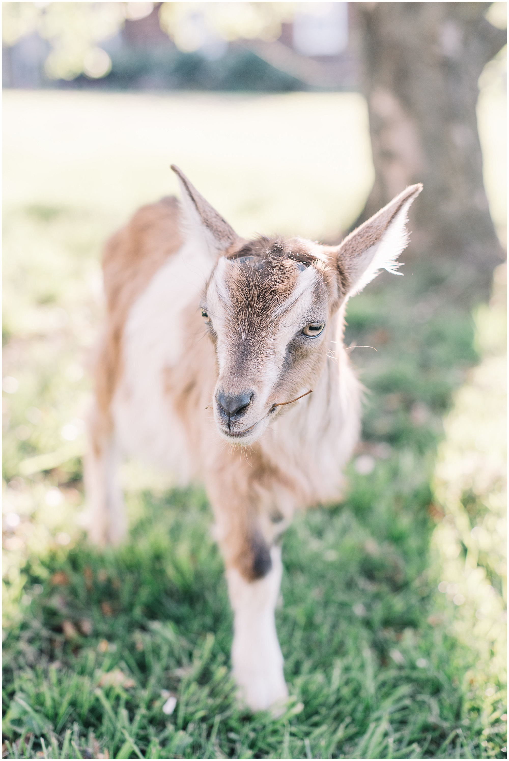 An Organic Inspired Spring Wedding Editorial by SD Events and Maryland Wedding Photographer Megan Bennett Photography at Historic London Town in Annapolis Maryland