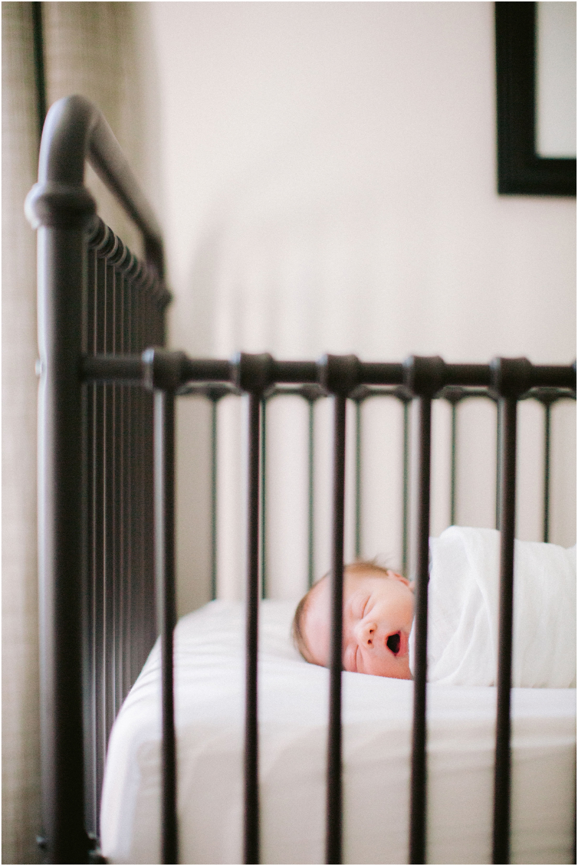 Baby Abe Newborn Portraits by Nikki Santerre Photography