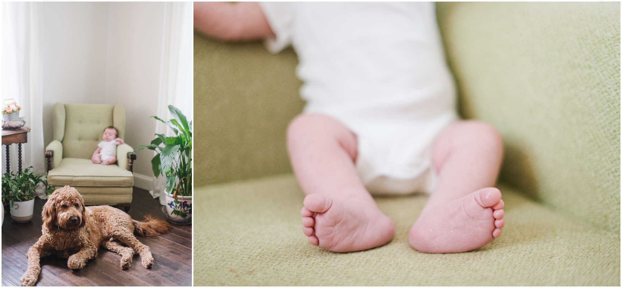 Life with Baby Abe by Megan Bennett Photography