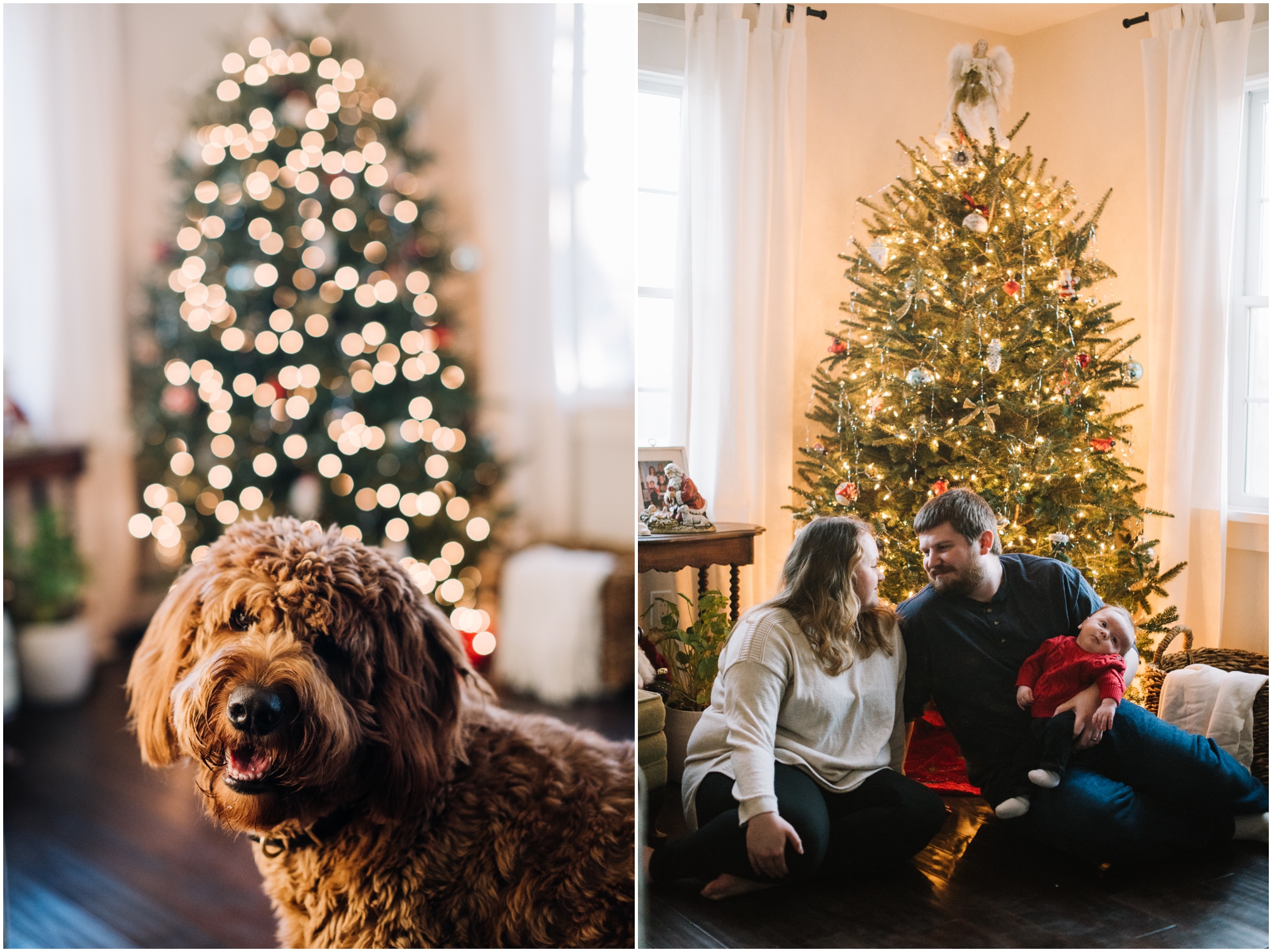 Life with Baby Abe by Megan Bennett Photography