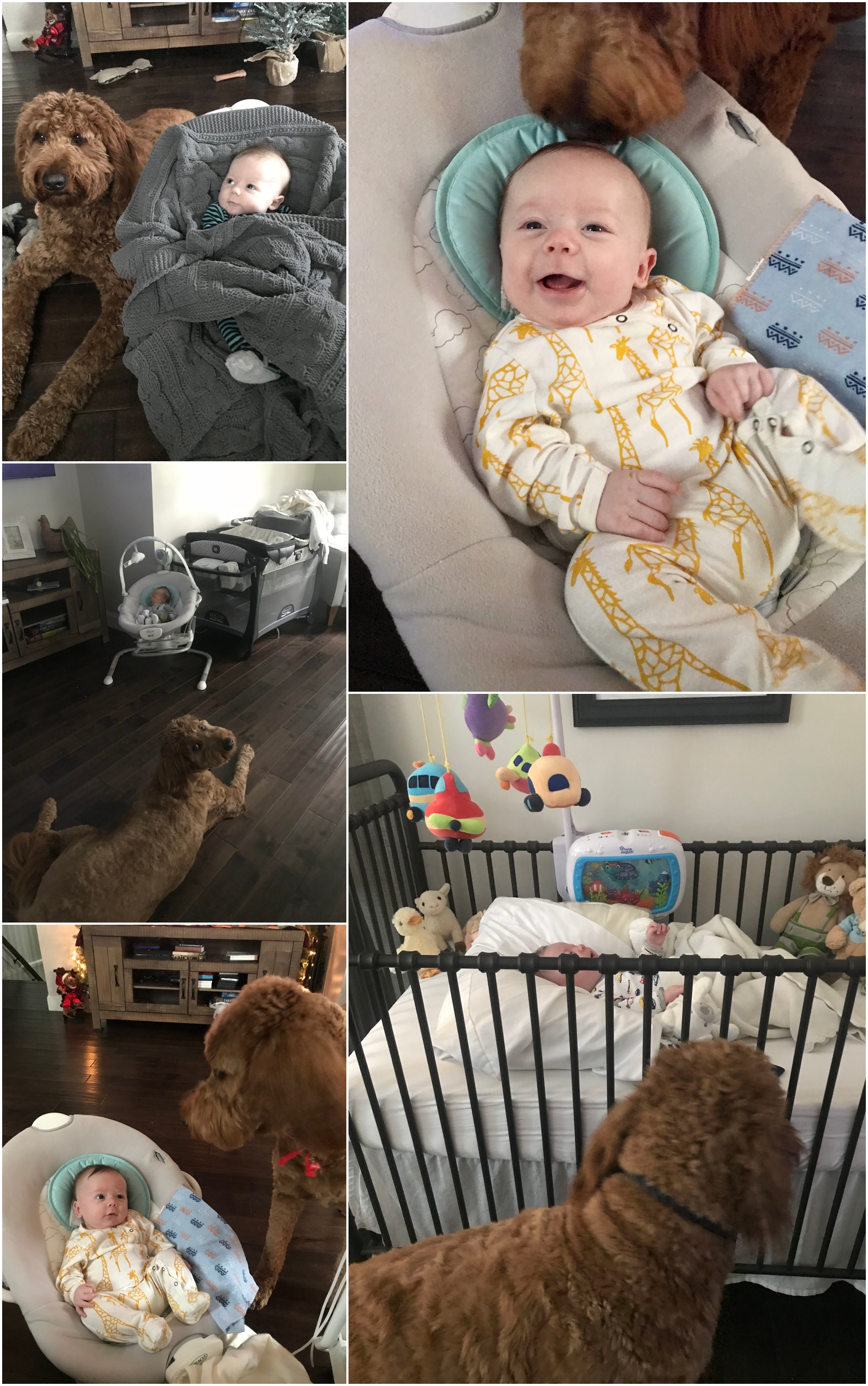 Life with Baby Abe by Megan Bennett Photography