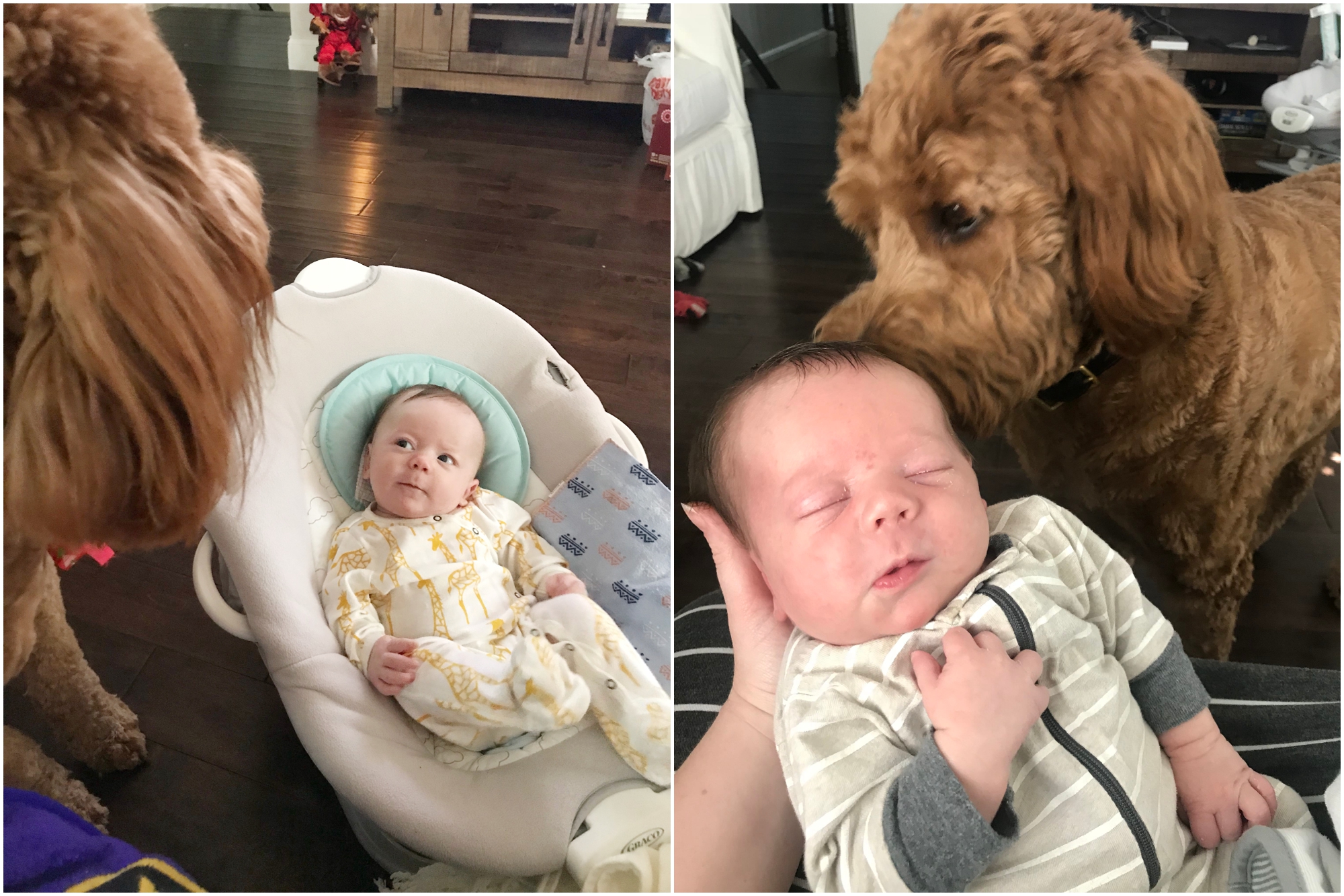 Life with Baby Abe by Megan Bennett Photography