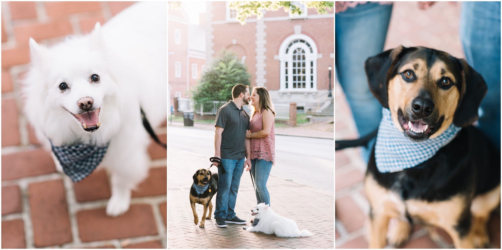 Annapolis Engagement Photo Maryland Photographer Megan Bennett Photography