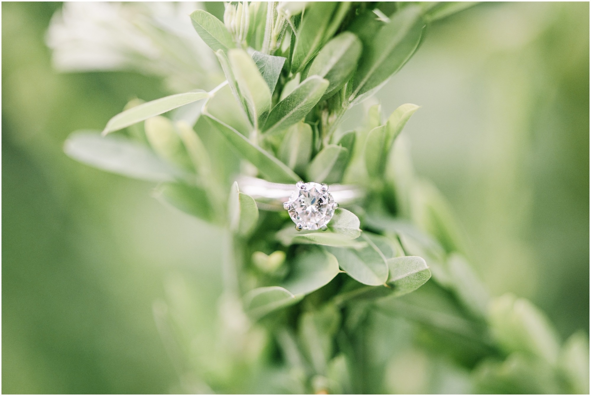 Solitaire Engagement Ring Photo by Maryland Photographer Megan Bennett Photography