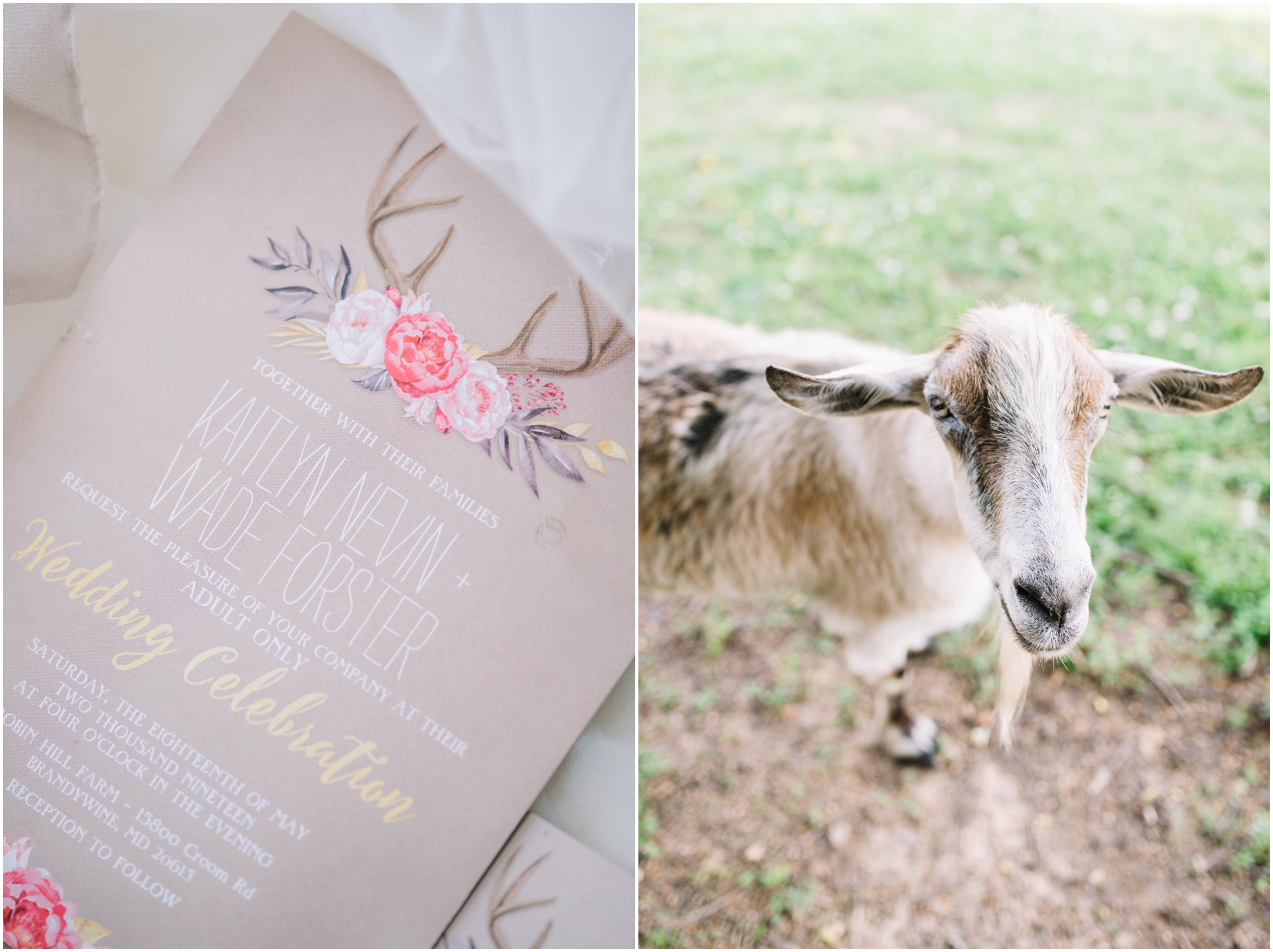 A Southern Maryland Barn Wedding I Megan Bennett Photography I A Blush Pink, Navy, Rustic Maryland Barn Wedding featuring a Farm Setting, Golden Light Portraits, and Large Bridal Party in Brandywine, Maryland #southernmarylandwedding #marylandwedding #marylandweddingphotographer