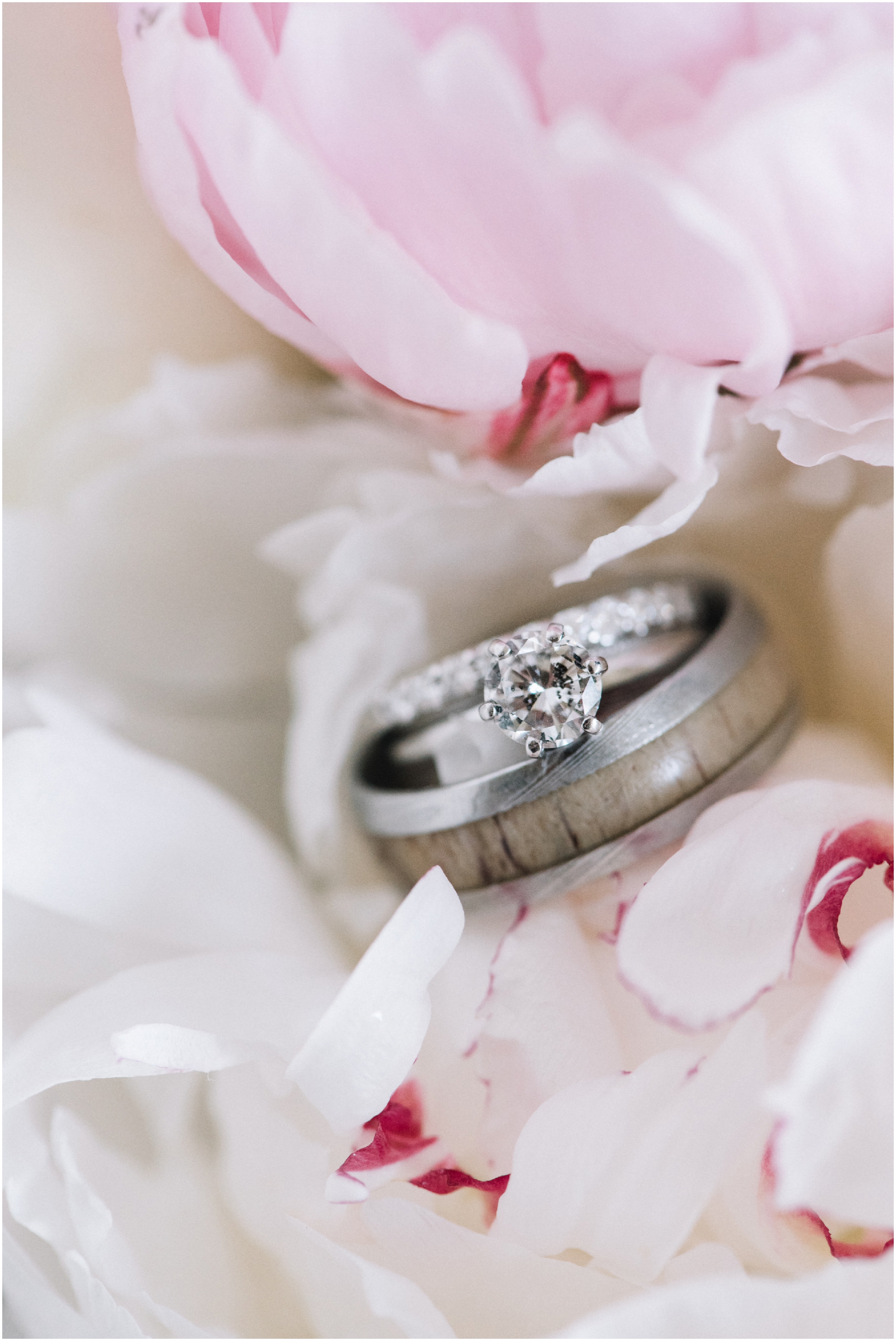 A Southern Maryland Barn Wedding I Megan Bennett Photography I A Blush Pink, Navy, Rustic Maryland Barn Wedding featuring a Farm Setting, Golden Light Portraits, and Large Bridal Party in Brandywine, Maryland #southernmarylandwedding #marylandwedding #marylandweddingphotographer