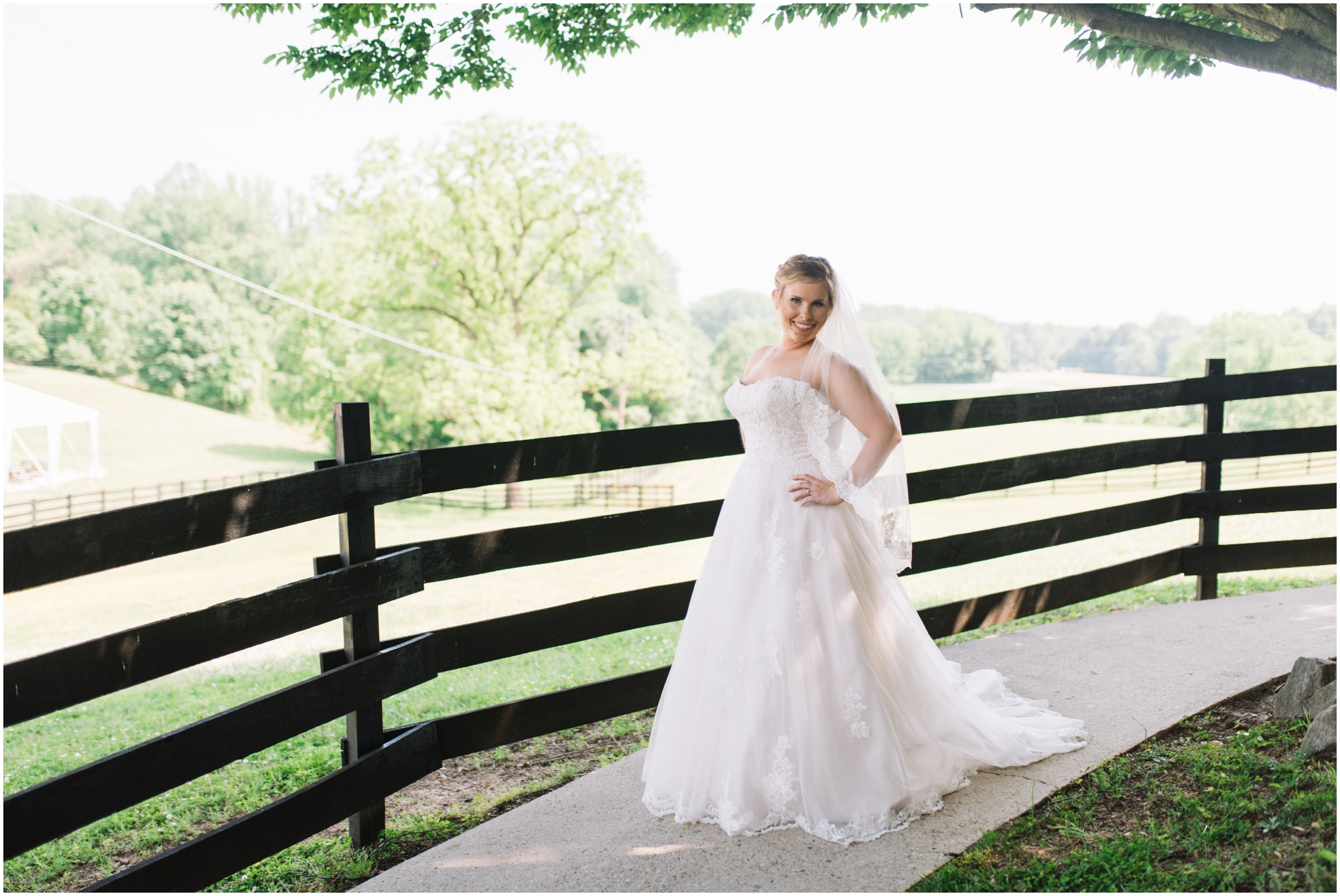 A Southern Maryland Barn Wedding I Megan Bennett Photography I A Blush Pink, Navy, Rustic Maryland Barn Wedding featuring a Farm Setting, Golden Light Portraits, and Large Bridal Party in Brandywine, Maryland #southernmarylandwedding #marylandwedding #marylandweddingphotographer