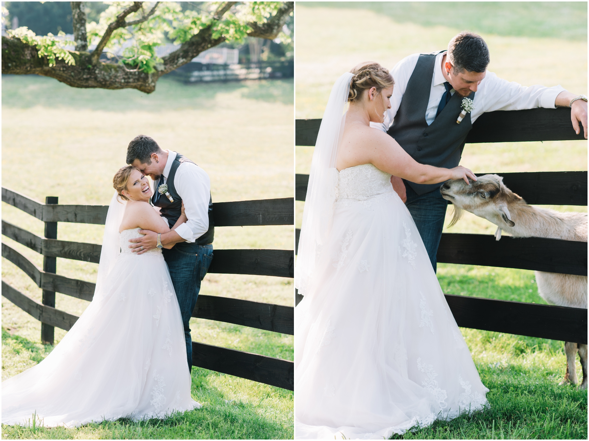 A Southern Maryland Barn Wedding I Megan Bennett Photography I A Blush Pink, Navy, Rustic Maryland Barn Wedding featuring a Farm Setting, Golden Light Portraits, and Large Bridal Party in Brandywine, Maryland #southernmarylandwedding #marylandwedding #marylandweddingphotographer