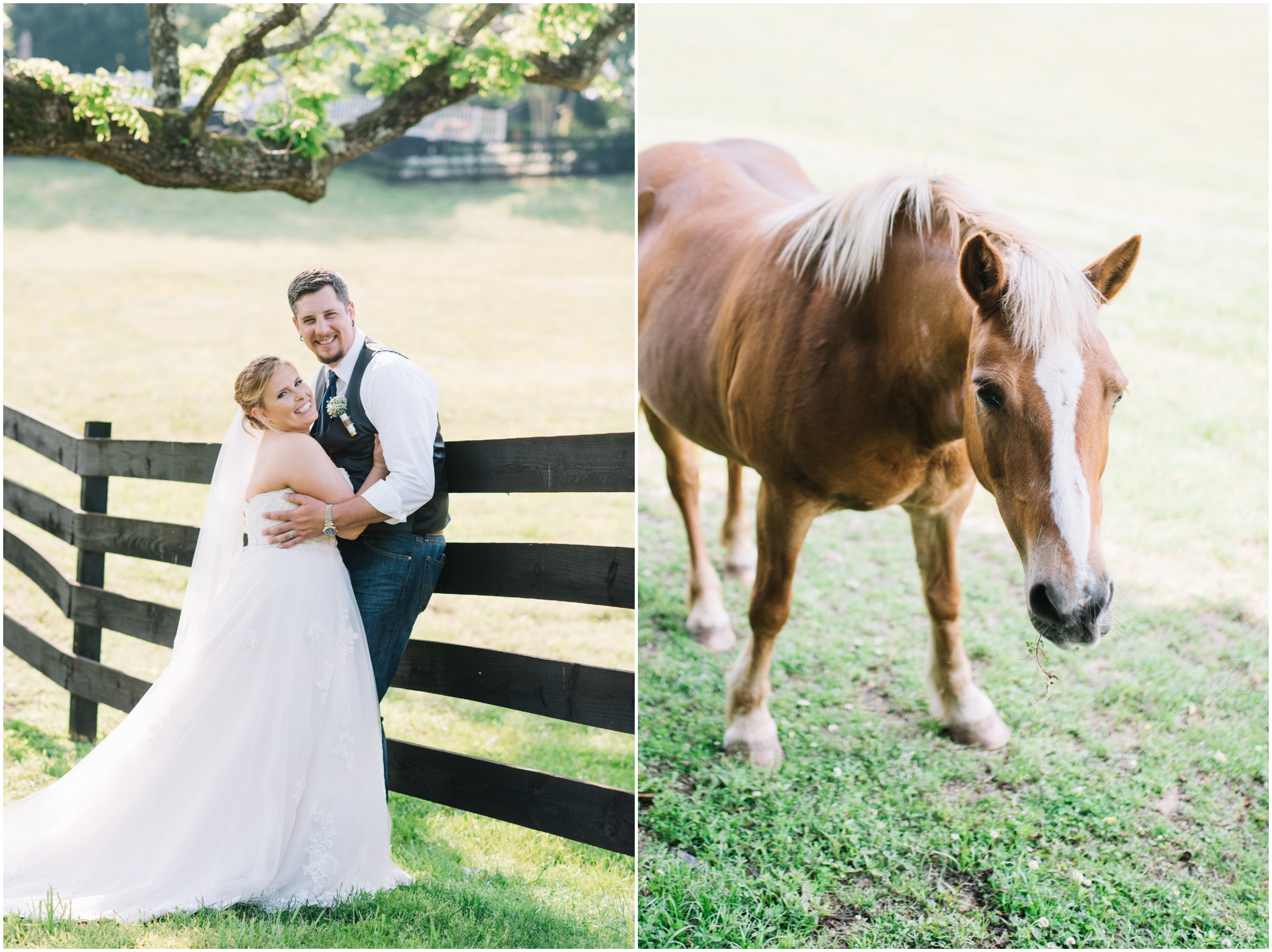 A Southern Maryland Barn Wedding I Megan Bennett Photography I A Blush Pink, Navy, Rustic Maryland Barn Wedding featuring a Farm Setting, Golden Light Portraits, and Large Bridal Party in Brandywine, Maryland #southernmarylandwedding #marylandwedding #marylandweddingphotographer