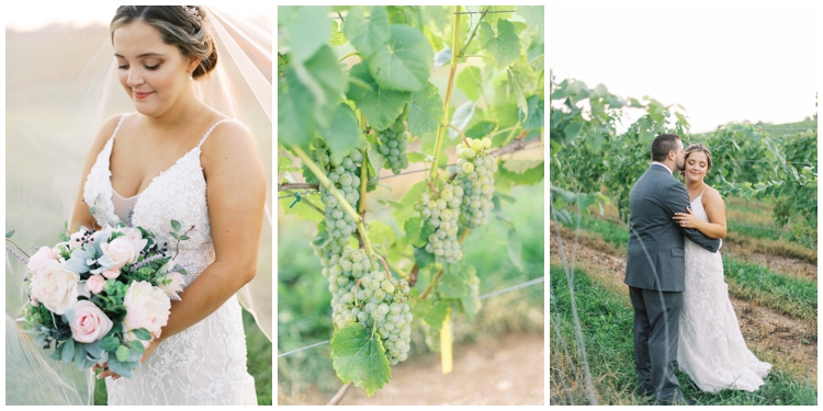 Linganore Winecellars Wedding by Maryland Wedding Photographer Megan Bennett Photography
