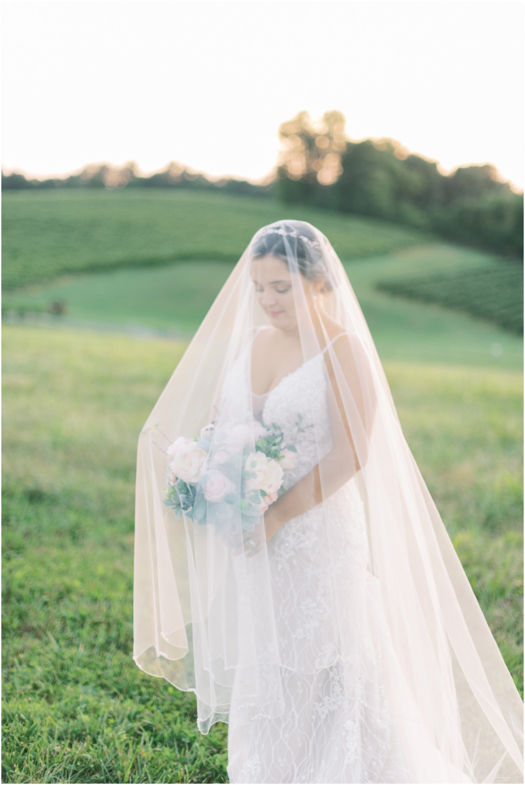Romantic Bridal Portrait at Linganore Winecellars by Fine Art Photographer Megan Bennett Photography